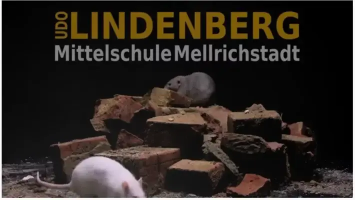 Screenshot des Films "Bis es dunkel wird"